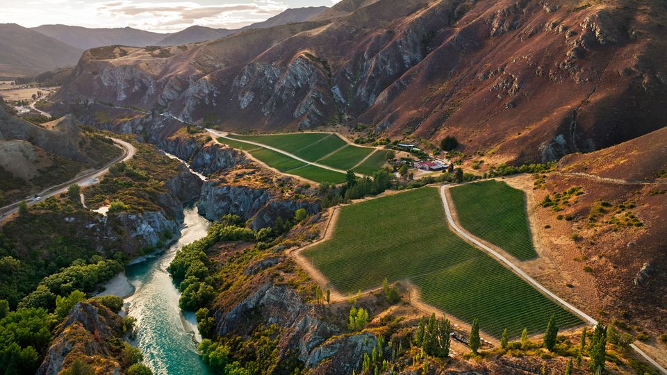 Chard Farm's dramatic setting is almost as impressive as its wines.